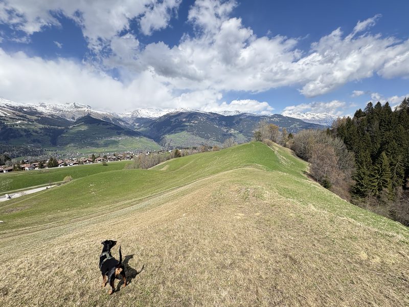 Wandern rund um Surcuolm